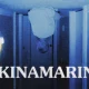 skinamarkin