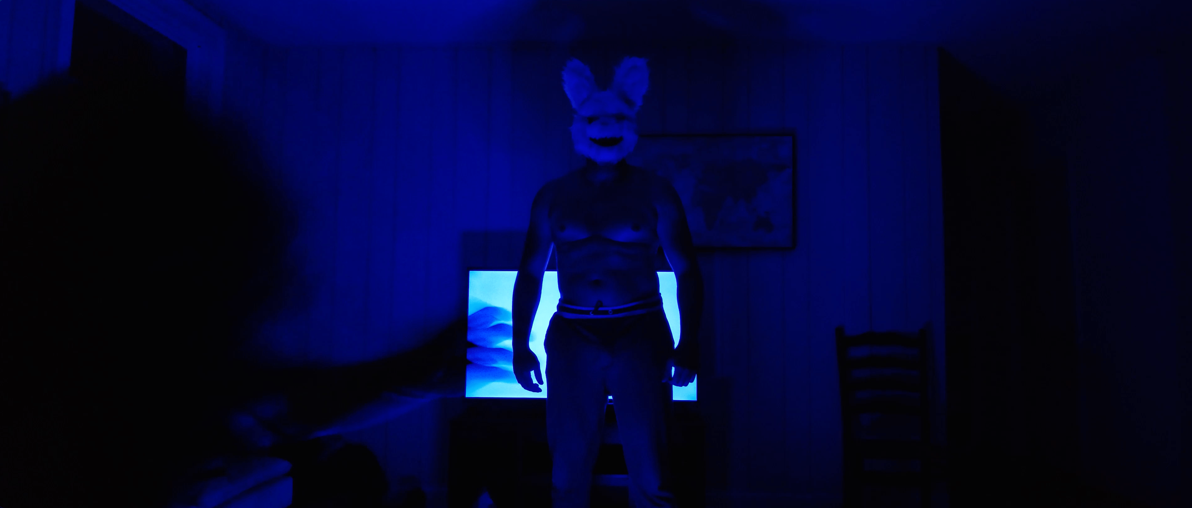 Project Paranoia bunny tv