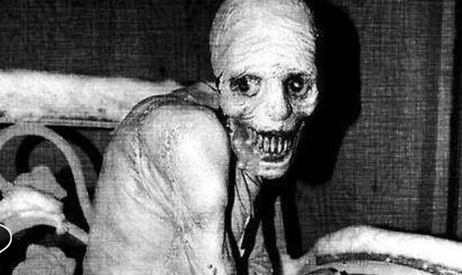 The russian sleep experiment